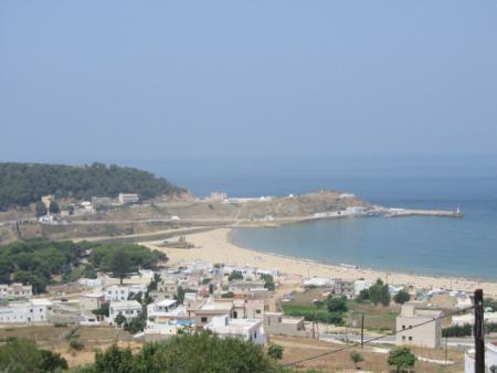 mandar zayad